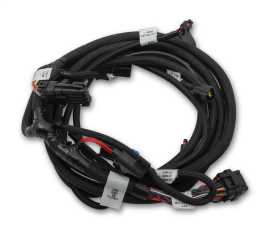 Holley EFI Ford Coyote TI-VCT Sub Wiring Harness